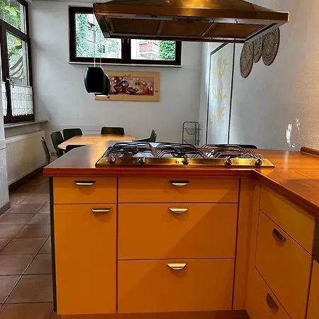 شقة Maisonettewohnung Im Loft Stil Mit Wunderschoener Terrasse كارلسروه